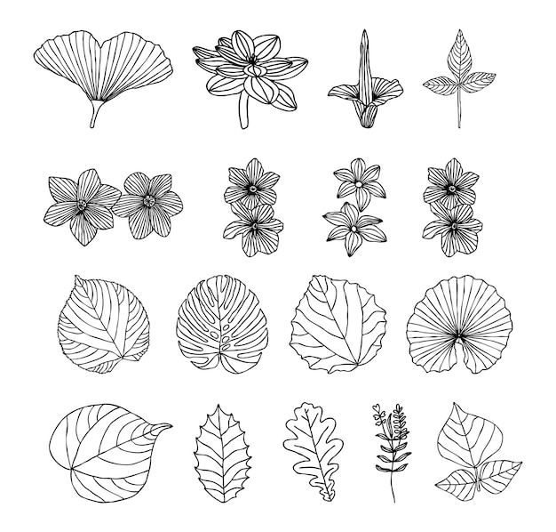 Hand getrokken collectie van bladeren en bloemen