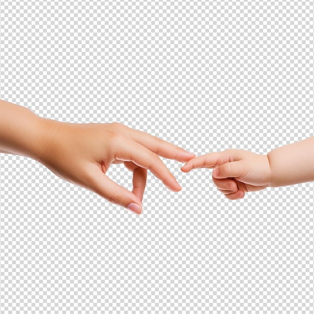 투명한 배경에 고립된 아기 손을 들고 있는 손