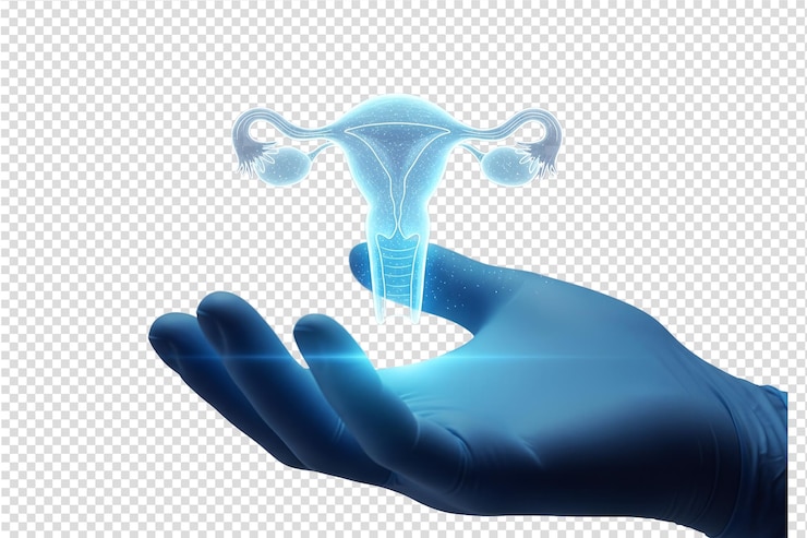 Hand holding glowing 3d model of the female reproductive system medical education gynecology