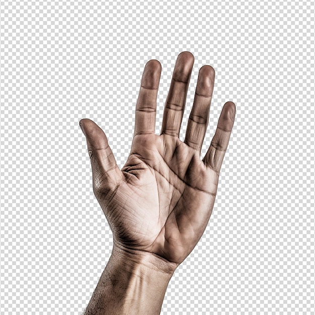 PSD hand isolated on transparent background