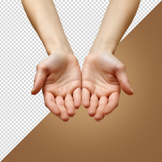 PSD hand isolated on white background