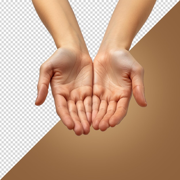 PSD hand isolated on white background