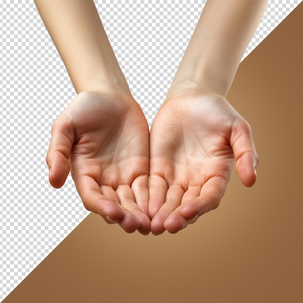 PSD hand isolated on white background