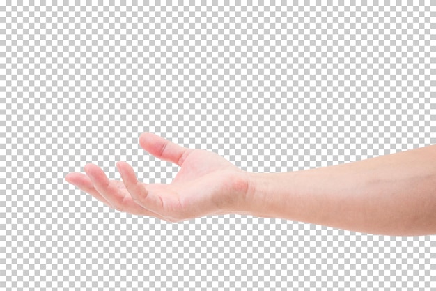 Hand isolated