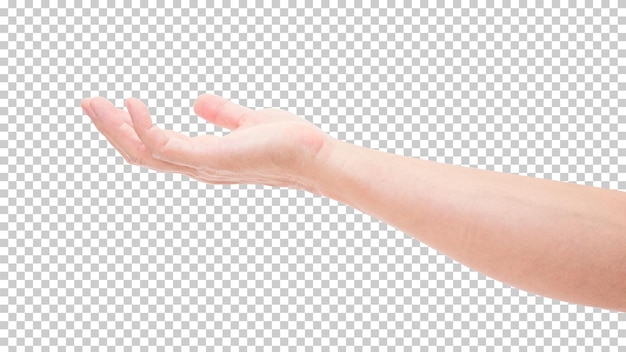 PSD hand isolated