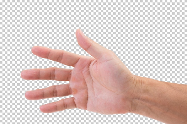 Hand isolated