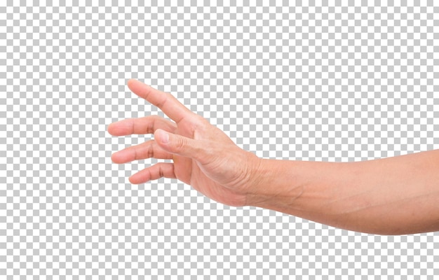 PSD hand isolated