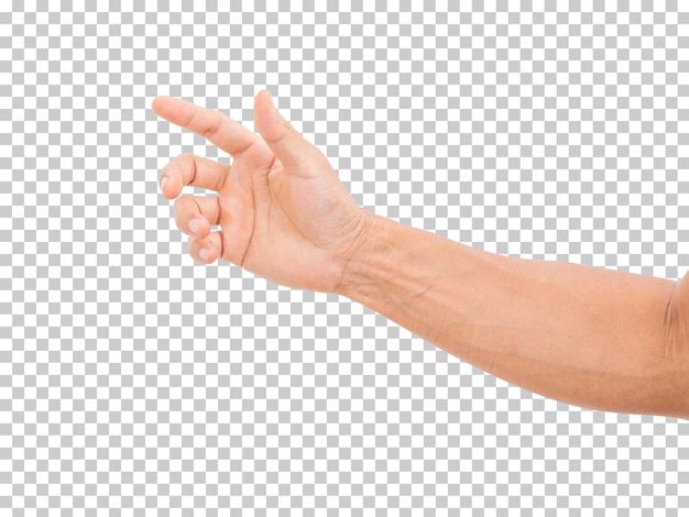 PSD hand isolated