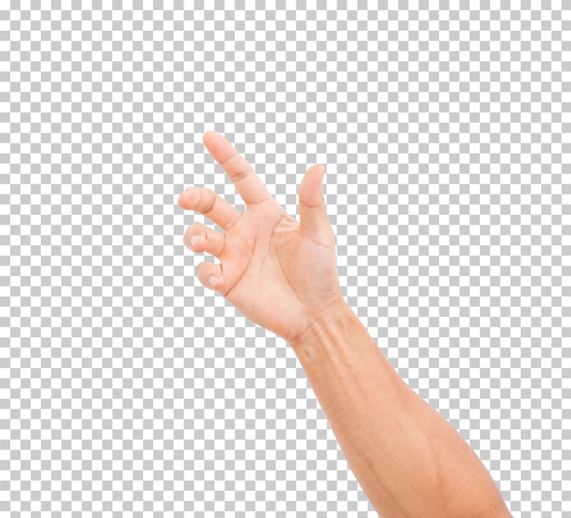 Hand isolated