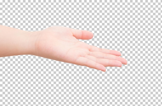 PSD hand isolated