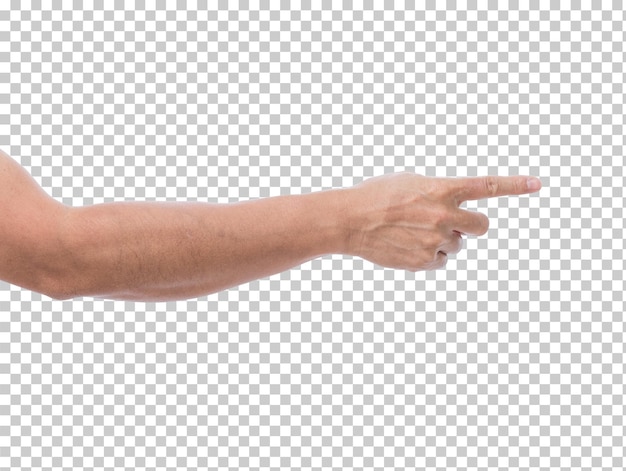 PSD hand isolated