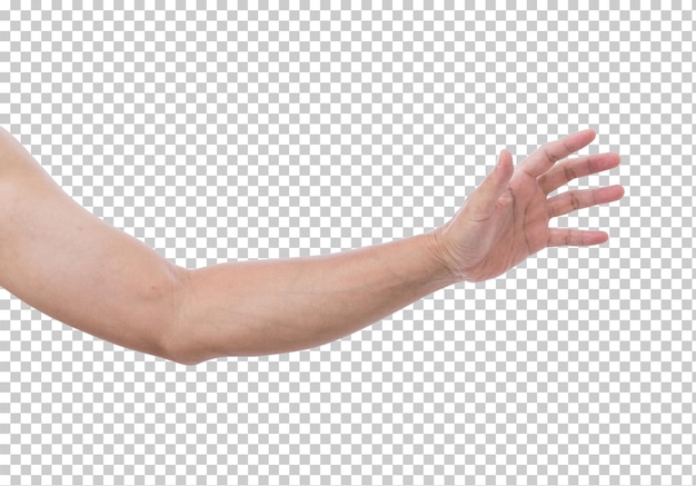 PSD hand isolated