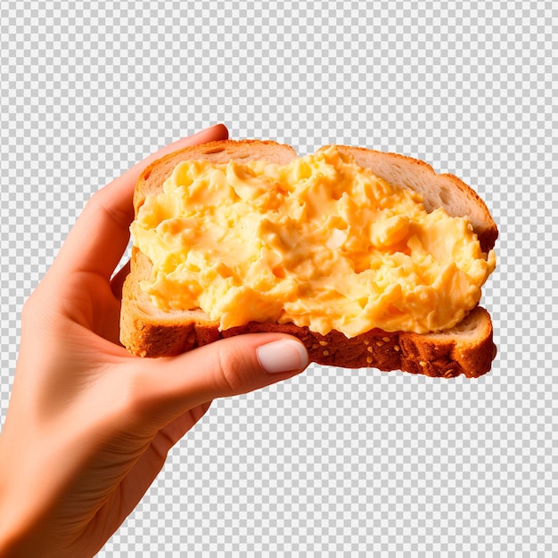 PSD hand met een toast met roerei