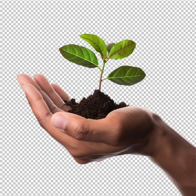 PSD hand met plant