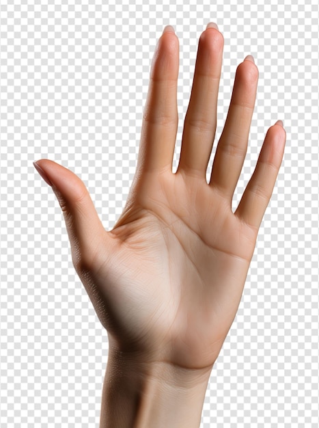 Hand opgeheven met vijf vingers geïsoleerd op een doorzichtige achtergrond