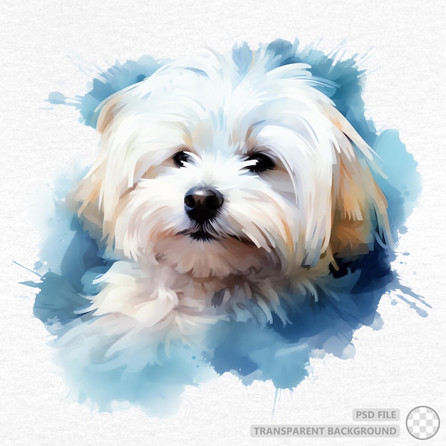 PSD acquerello cane maltese dipinto a mano