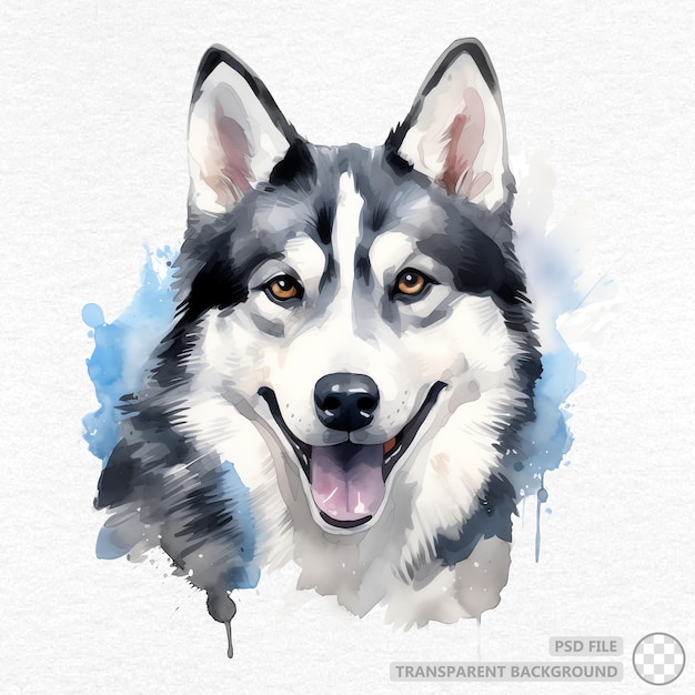 Hand painted siberian husky watercolor