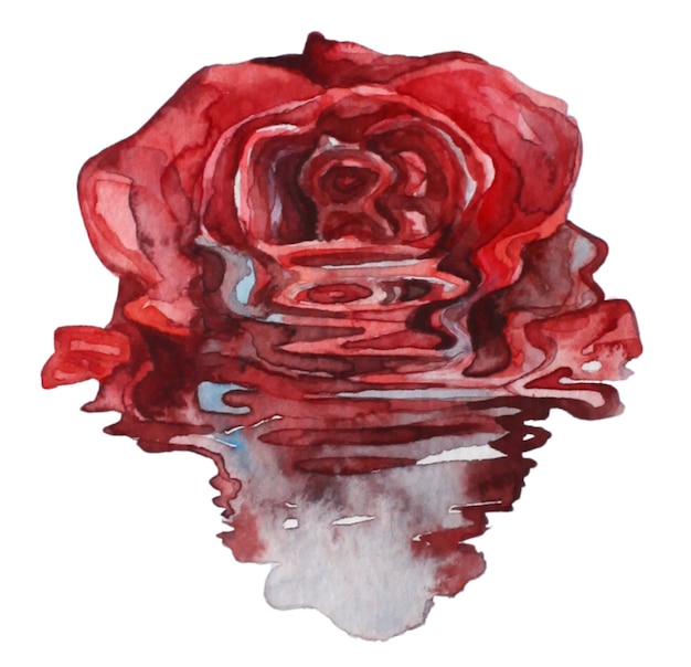 Hand Painted Surrealist Melting Watercolor Red Rose