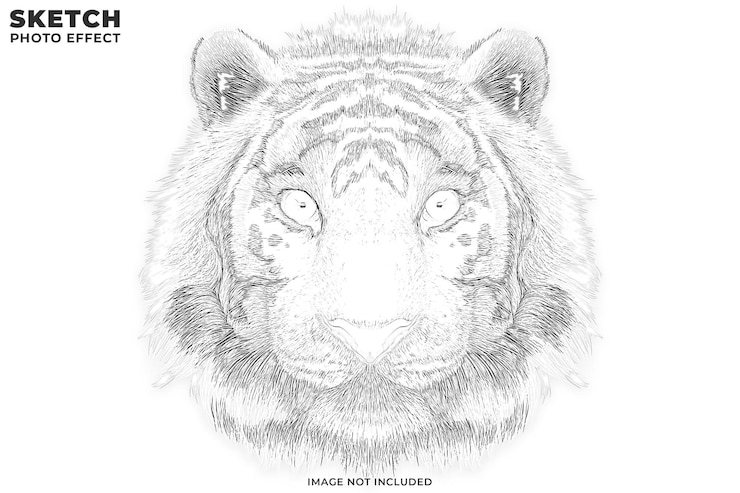 PSD hand sketch drawing photo effect