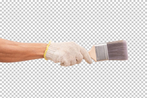 Hand wearing cotton glove hold paint brush isolated