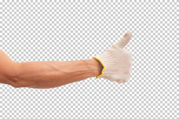 Hand wearing cotton glove isolated