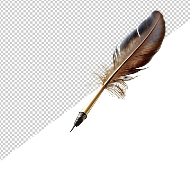 Hand writing with quill on transparent background