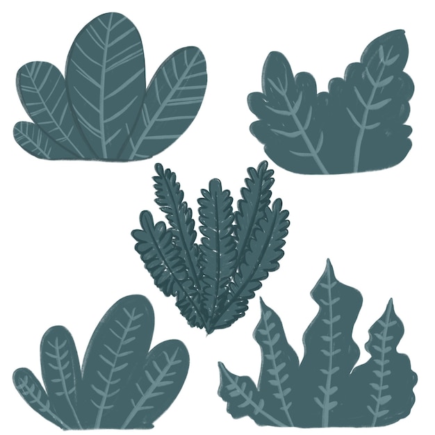 PSD handdrawn design elements of tosca plant and grass collection