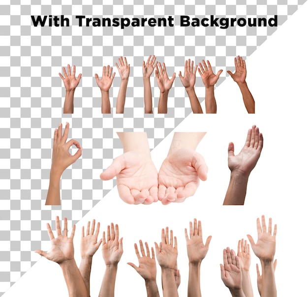 Handen Meerdere actie gebaar Foto PNG PSD Transparante achtergrond