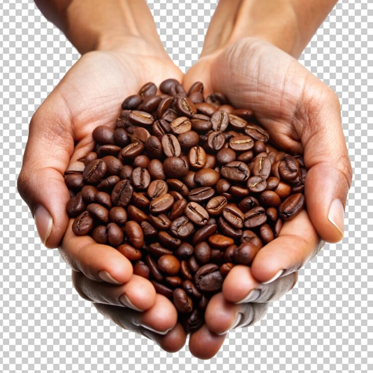 PSD hands holding coffee beans transparent background
