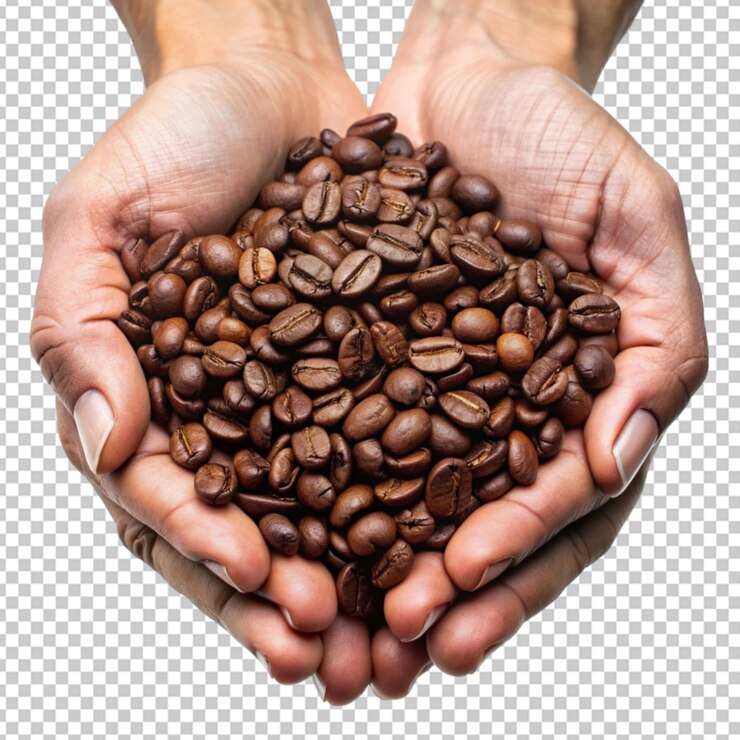PSD hands holding coffee beans transparent background