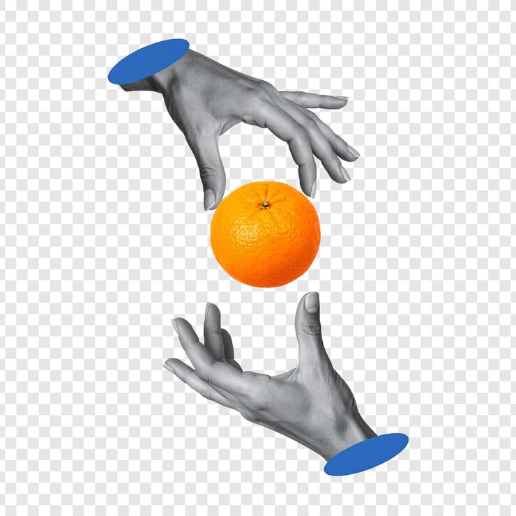 PSD hands holding orange fruit illustration