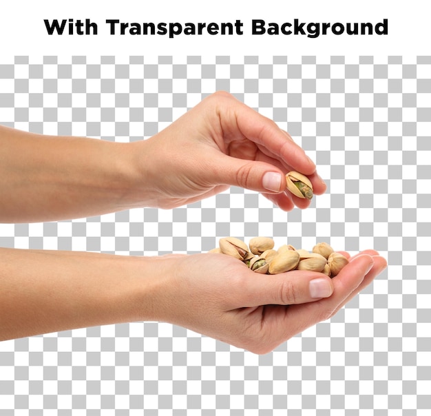 Hands holding pistachios dry fruits isolated on a transparent background