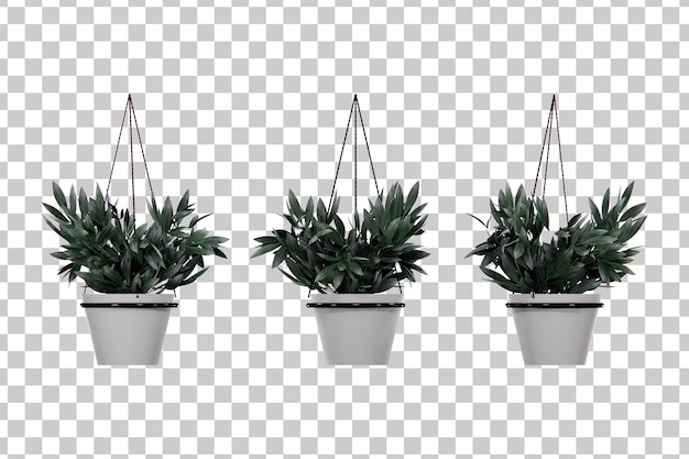 PSD hangende pot bloem 3d-rendering