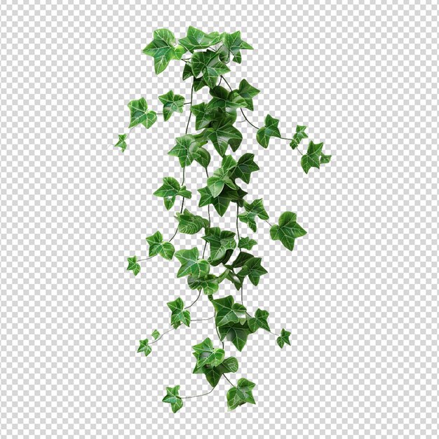 Hanging plants ivy hanging plant vines vine pothos vertical garden hedera garland 3d plant