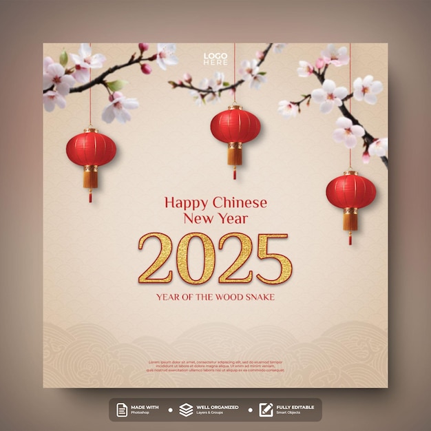 happy chinese new year 2025 social media post template design