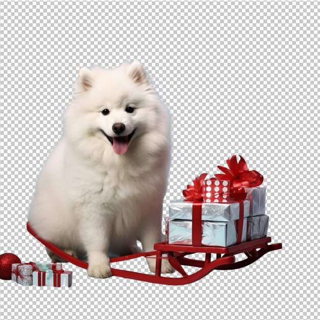 PSD happy christmas cute dog and cat