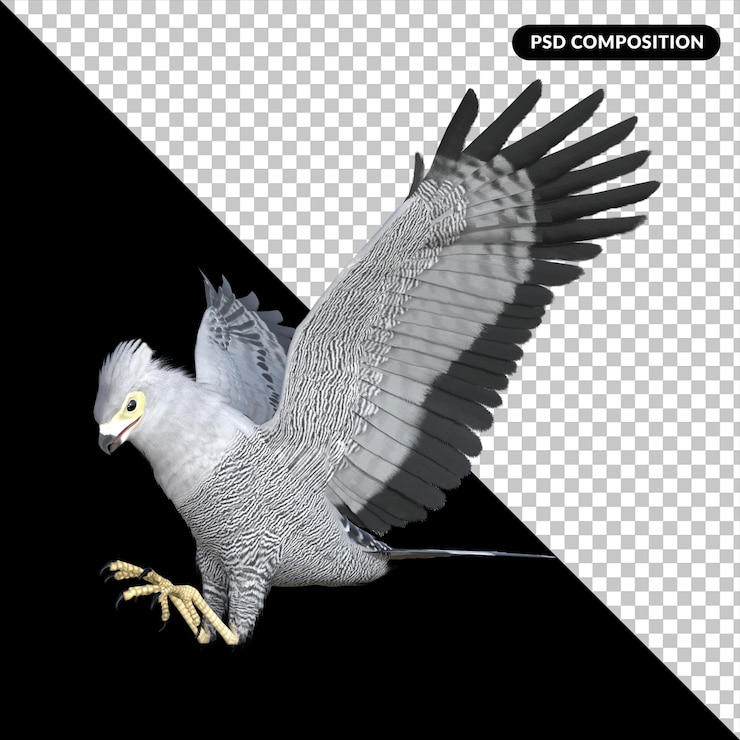 PSD hawk bird parrot isolated 3d