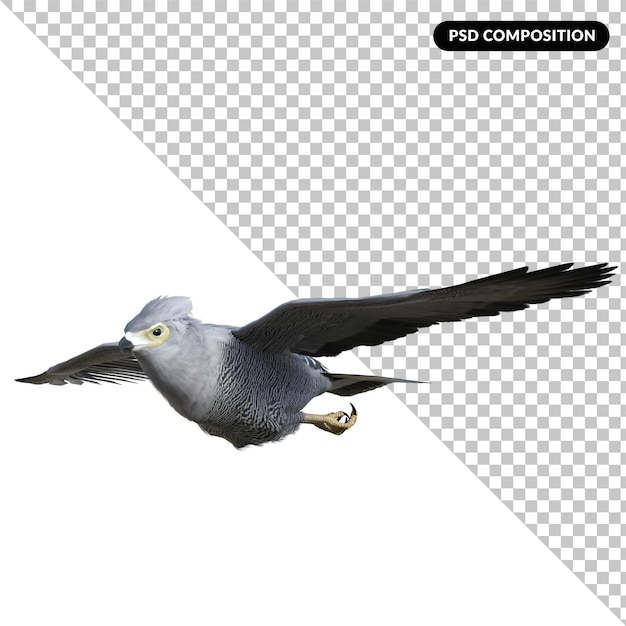 PSD Ястреб-птица-папугая изолирована 3d