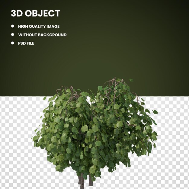 PSD hazel tree