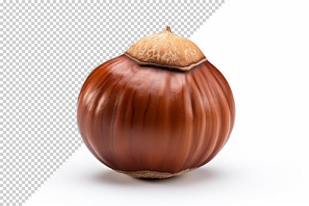 PSD hazelnut isolated on transparent background