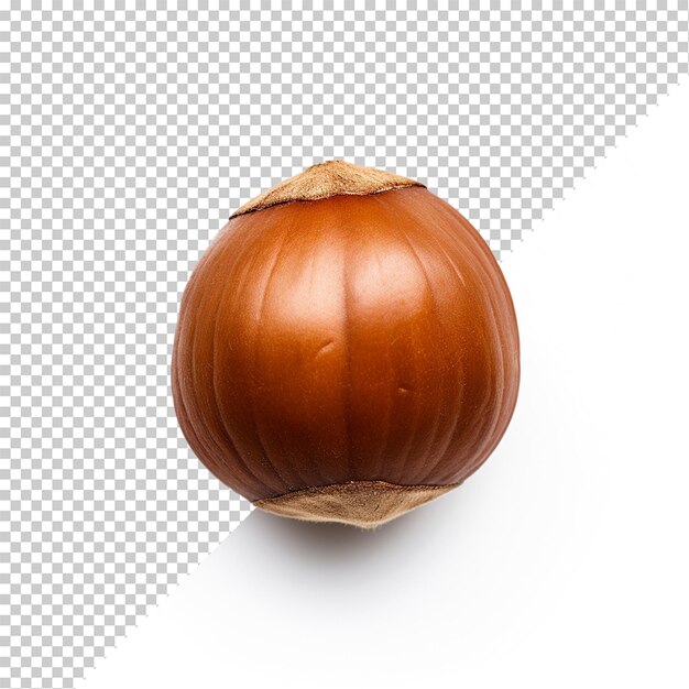 Hazelnut isolated on transparent background