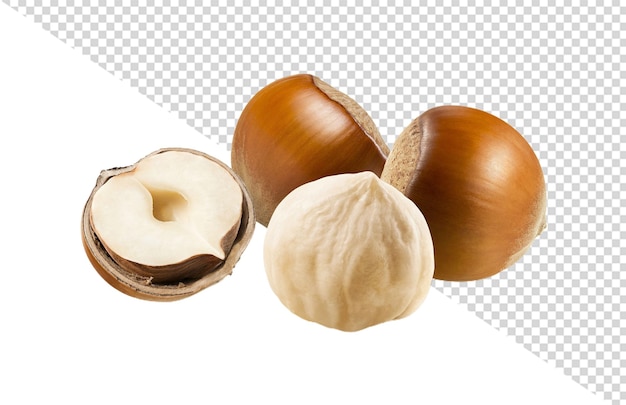 PSD hazelnut png