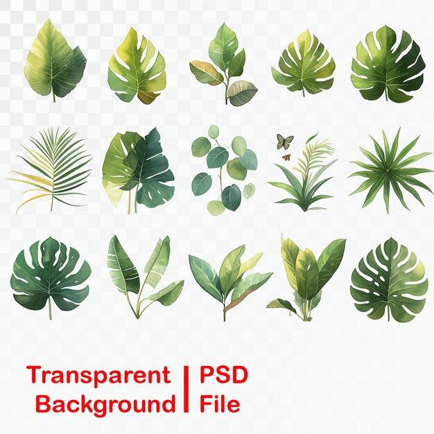 Hd quality green leaf elements