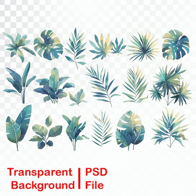 PSD hd quality green leaf elements