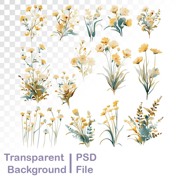 PSD hd quality transparent floral decorative elements