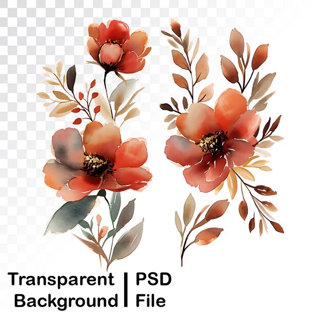 Hd quality transparent floral images