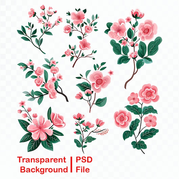 PSD hd quality transparent floral ornament bundle image