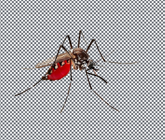 PSD health challenges malaria hivaids isolated on transparent background