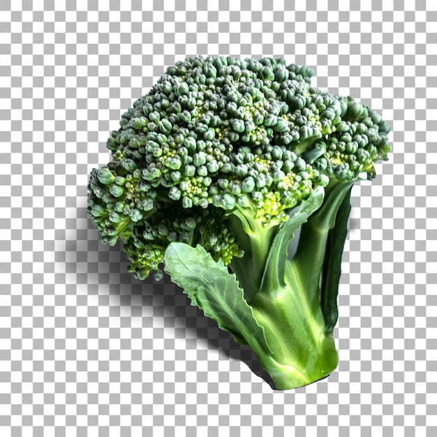 Broccoli sani per la tua risorsa di design