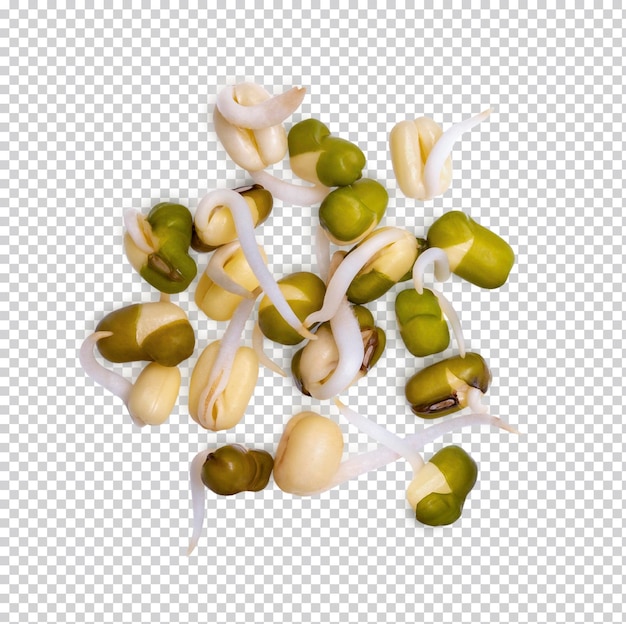 PSD healthy fresh bean sprouts isolated premium psd top view